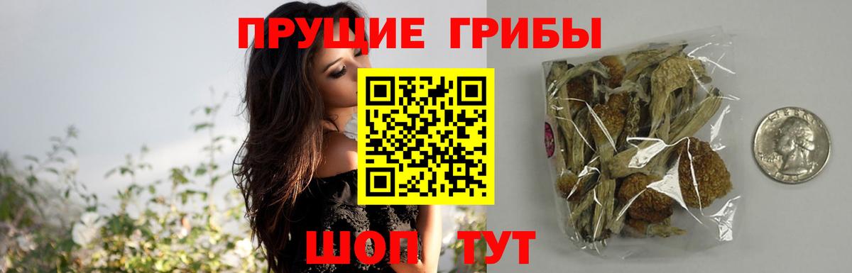 Ялта  Псилоцибиновые грибы прущие грибы  Вход с VPN 